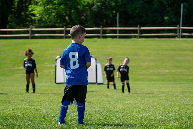 赛程的安排 赛程的安排