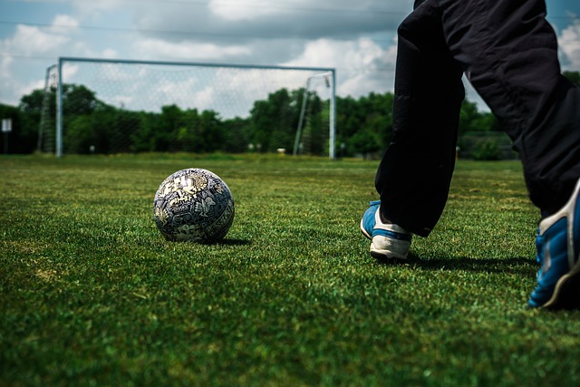 職業生涯最 職業生涯最