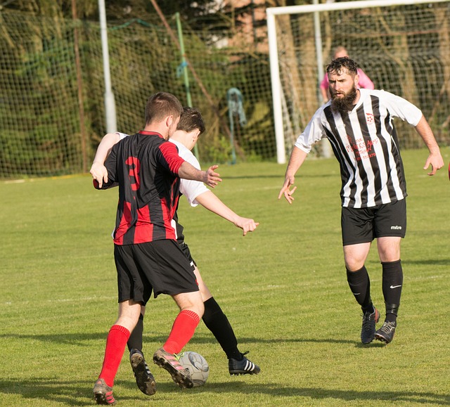 社交媒体上 社交媒体上