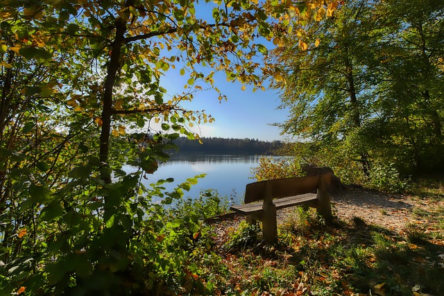 对阵玻利维 对阵玻利维