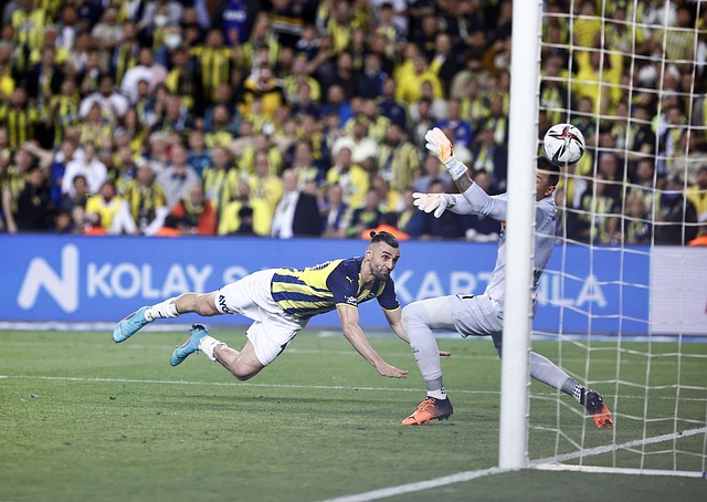 这位年轻的 这位年轻的